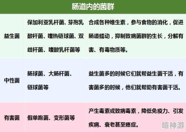 小洞需要大肉肠：如何在生活中找到解决问题的最佳方法与策略