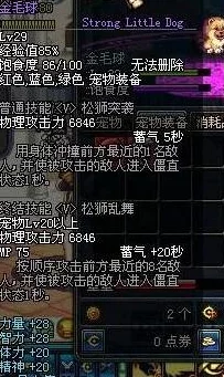 dnf游戏中哪个宠物具备暴走技能及其效果解析