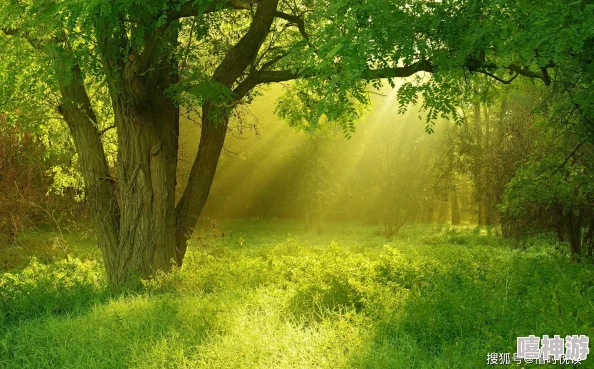娇小性xxx性xxx仙踪林：在神秘的森林中，发现了令人惊叹的生物与奇妙的生态系统，带你领略自然之美