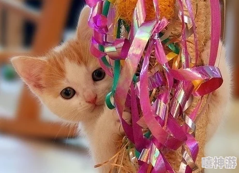 bt kitty：用户评价揭示了这款产品的优缺点，值得一试的猫咪爱好者必备选择！