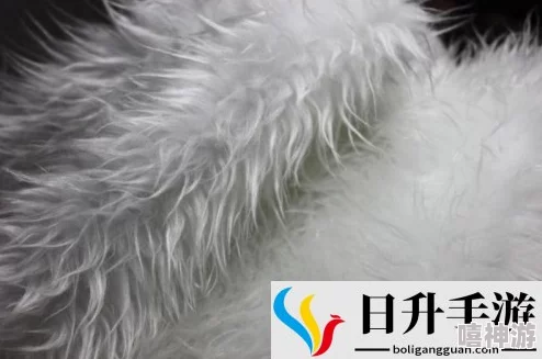 aaaaa级毛皮最火的一句话：绝对物有所值，质量无可挑剔，让您尽享奢华体验