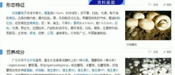 17c555黑料蘑菇：探讨其在市场中的影响及消费者对其安全性的关注与看法
