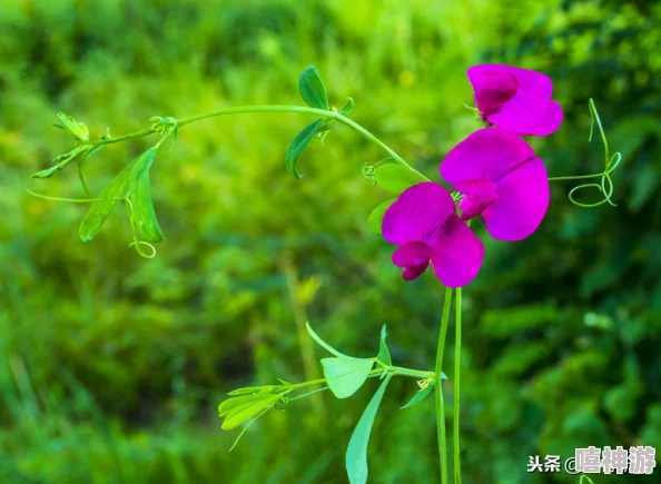 性婬妊bbxbbxbbxbbx：探讨现代社会中性教育与生育观念的变化及其对年轻一代的影响分析