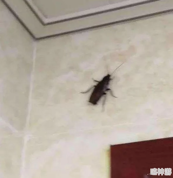 喷潮湿怎么办到的？了解喷潮湿现象的成因及应对措施，帮助你有效解决生活中的潮湿困扰