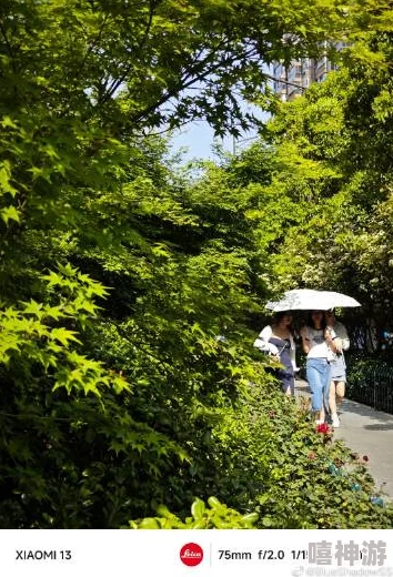 国产手机拍视频推荐2023：畅享高清影像，提升创作体验的最佳选择与实用技巧分享