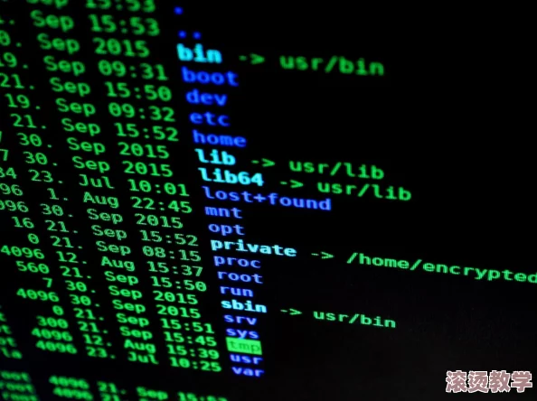 看黄色app：震惊！数百万用户隐私数据泄露，黑客攻击引发广泛关注与恐慌！
