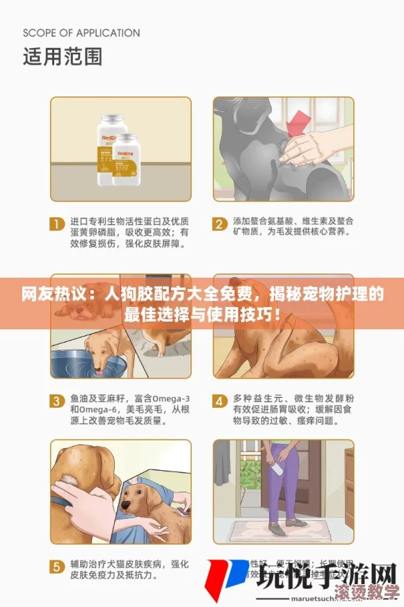 人狗胶配方大全免费天气预报：网友热议如何选择合适的配方以及天气变化对宠物健康的影响