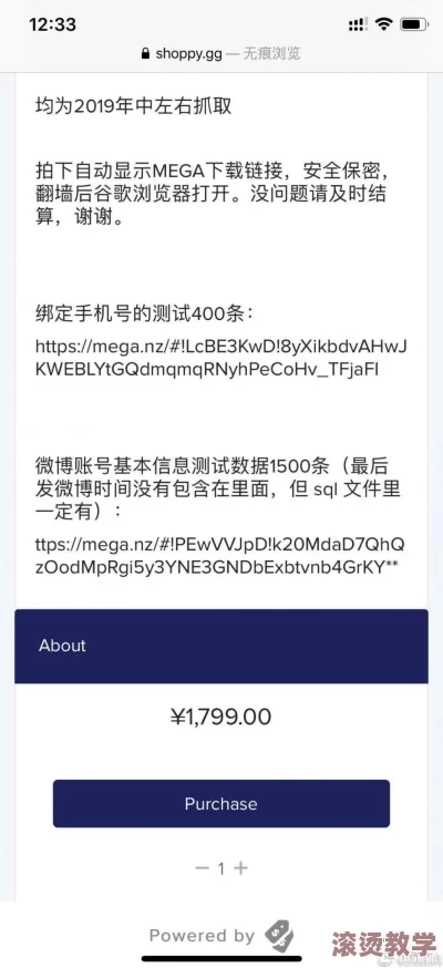 91精品网站被指控泄露用户隐私信息，数百万用户数据面临严重安全威胁！