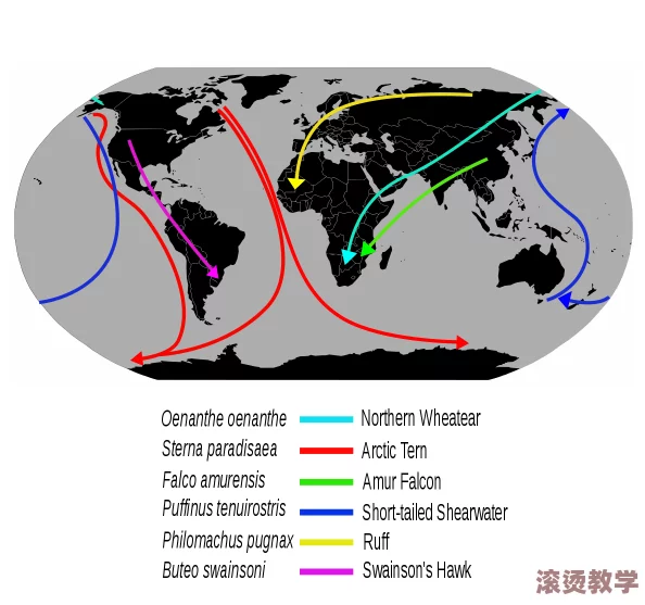 ＊播放：全球气候变化引发极端天气，科学家警告未来可能面临更严重的自然灾害