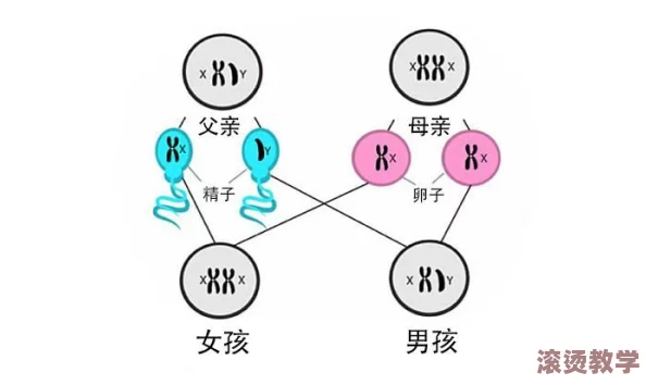 小孩将坤坤女生的句号：探讨儿童语言发展与性别认同之间的关系及其对社会交往的影响