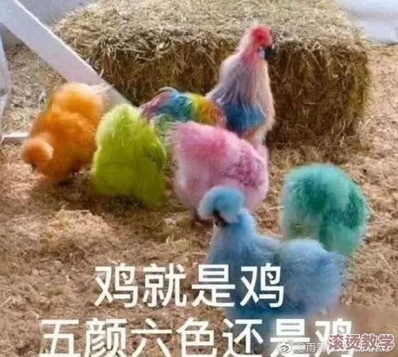 xx69：鹤立鸡群，独领风骚，引领潮流，开创时尚