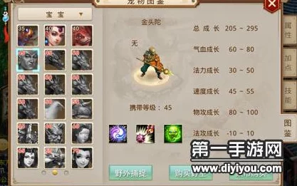 问道手游金头陀角色天书搭配与选择推荐攻略详解