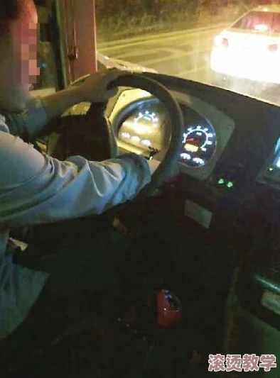 公交车上穿内裤被挺进小说目录，惊现乘客目击者称现场一片混乱，警方介入调查引发热议！