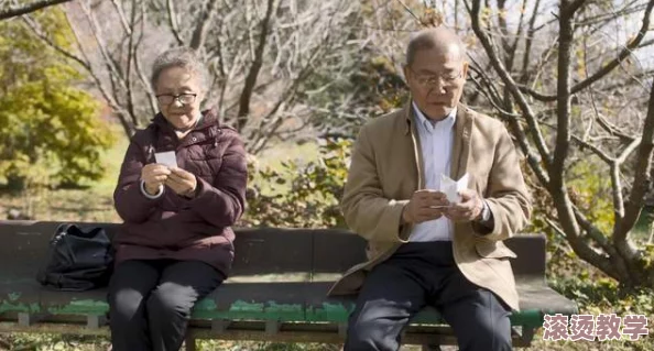 〇idman骚年老头22：探讨年轻人与老年人之间的文化碰撞与代际交流的深刻影响