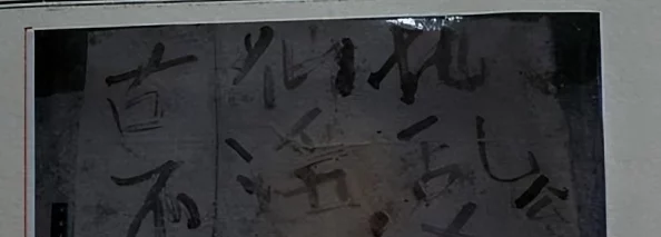 一杆枪战三母：震撼全城，竟在凌晨时分发生惊天血案，目击者称现场惨不忍睹！