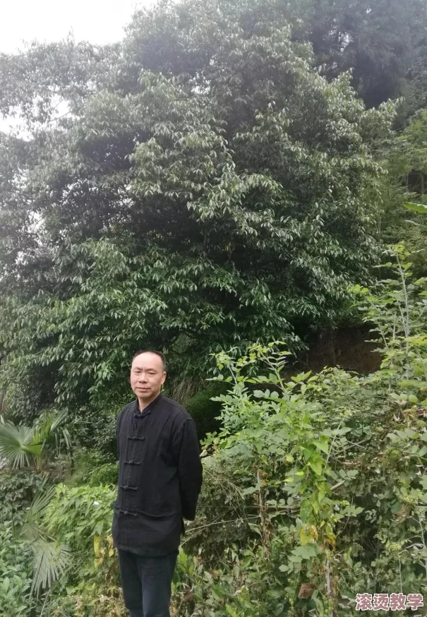一起草网名竟引发网络热潮，数万用户纷纷模仿，背后成因令人震惊！