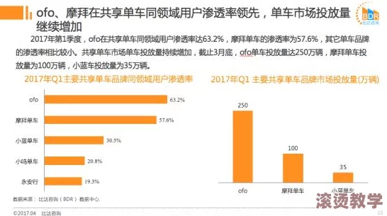 毛片黄＊：最新调查揭示其背后的产业链与社会影响，引发公众热议与关注