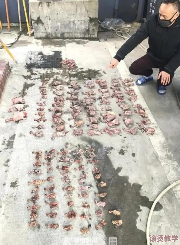 夜间100款禁用软件：全面解析影响用户安全与隐私的应用程序及其潜在风险与危害
