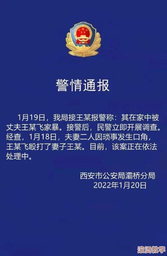 18岁禁止网站：分析青少年上网行为对心理健康的影响及相关法律法规的探讨与研究