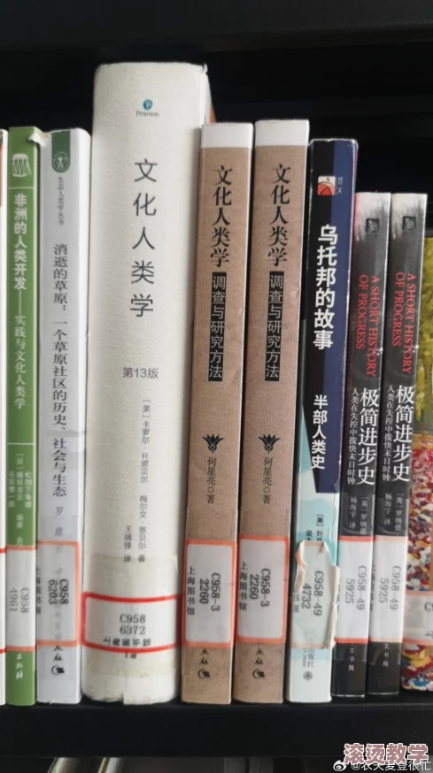 长篇乱小说录目伦200篇：探讨当代文学的多元化与社会热点问题，反映人们内心深处的挣扎与追求