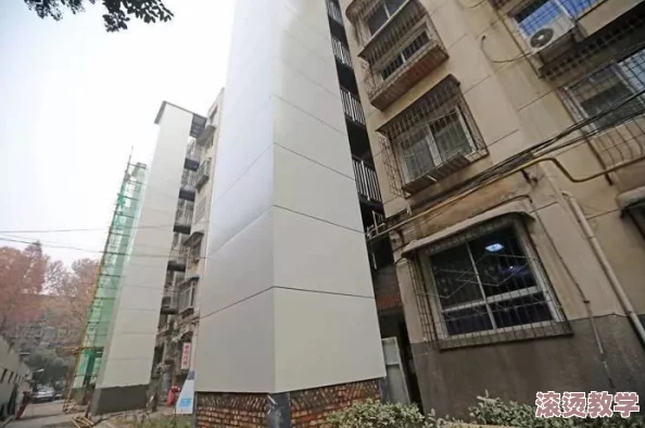 国产呦精品一区二区三区网站：最新动态引发热议，用户体验与内容安全问题成为焦点讨论！
