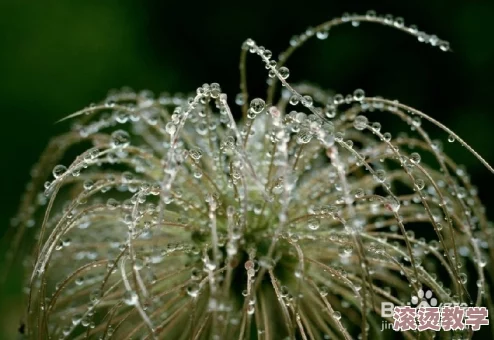 丰满的大隂户近距离特写：细致观察其独特结构与生物功能的科学研究进展