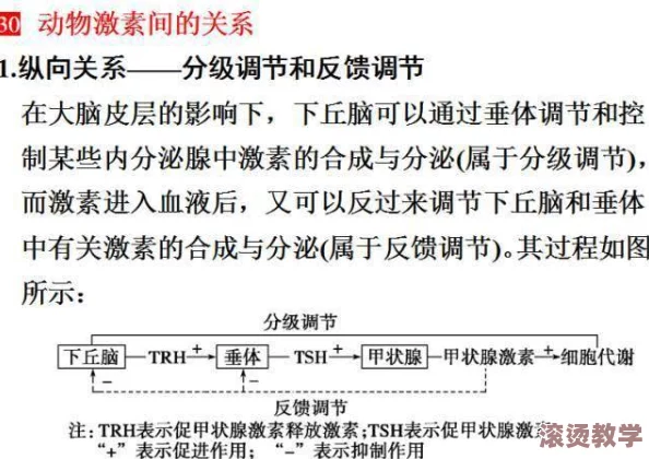 体内精69xxxxxx：探讨其在生物医学研究中的应用与潜在影响的综合分析与评估
