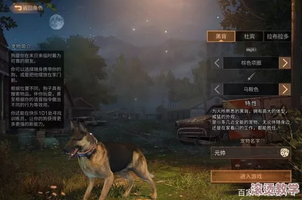 明日之后游戏中哈士奇宠物拥有哪些独特技能解析