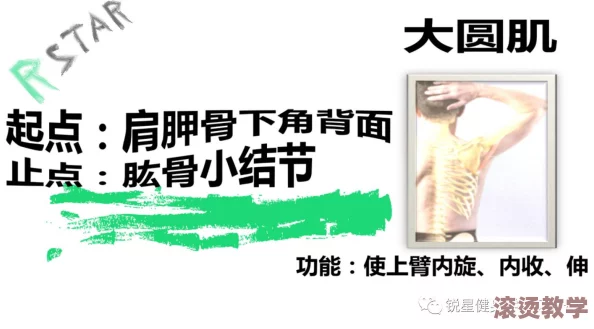 “交换4之精油特殊按摩”引发身体不适，专家警告可能导致严重健康风险！