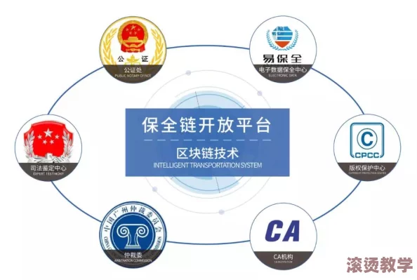 一起17c：最新进展揭示了该项目在技术创新和市场应用方面的重大突破与未来发展方向