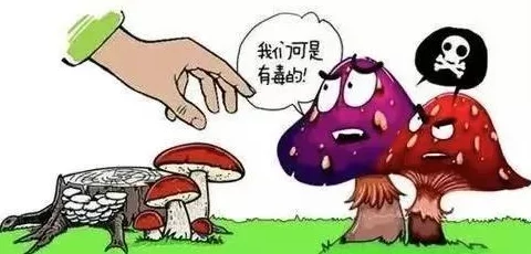 啊好痛嗯轻一点痛！医院紧急救治，患者因误食剧毒植物引发严重中毒，情况危急令人震惊！