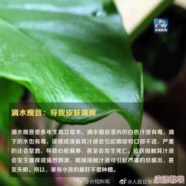 啊好痛嗯轻一点痛！医院紧急救治，患者因误食剧毒植物引发严重中毒，情况危急令人震惊！
