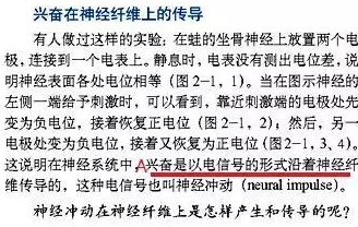 高h男男文：当代文学中的性别表达与情感探索，如何影响年轻人的价值观和审美取向？