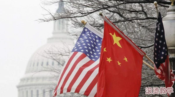 中国chinagary武警：深入分析其在国家安全与社会稳定中的重要作用及未来发展趋势