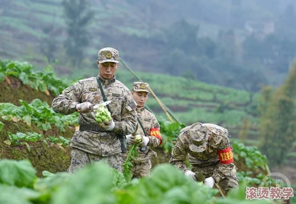 中国大叔武警gary的职业经历：从基层执勤到国际维和，展现新时代武警风采
