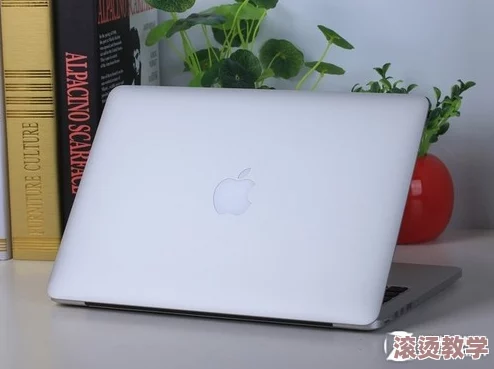 18岁macbookpro特点：深入分析这款经典笔记本的设计、性能与用户体验，揭示其在现代科技中的独特地位与影响力