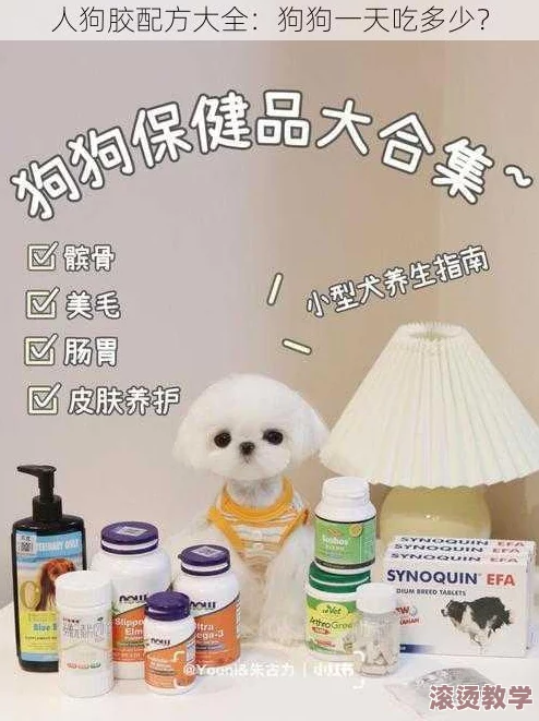 人狗胶配方大全狗狗一天吃多少？最新八卦消息曝光