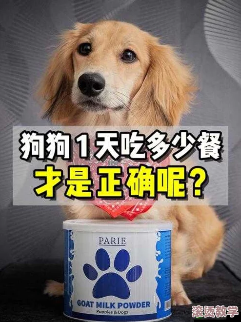 人狗胶配方大全狗狗一天吃多少？最新八卦消息曝光