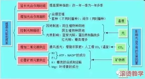 一起草17c国卢：探讨国家间的合作关系及其对区域发展的影响与展望