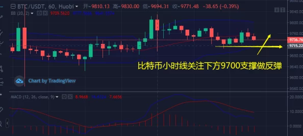 午夜亚洲国产精品福利：震惊！新政策将彻底改变行业格局，影响数百万用户的观看体验！
