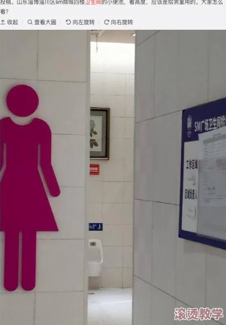 厕沟精品清晰女厕正面女，展现女性空间的隐私与尊严，探讨公共卫生设施设计的重要性与社会影响